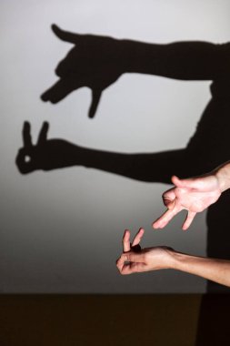 Beyaz ekrana yansıtılan gölgeyi oynat. Bir insanın elleri tavşan yemeye çalışan bir kurda dönüşür.