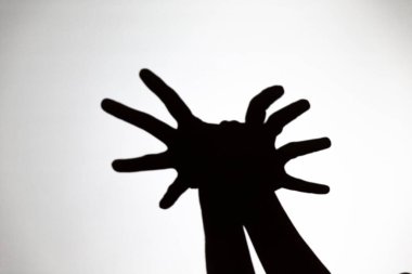 Beyaz ekrana yansıtılan gölgeyi oynat. Bir insanın elleri bir örümceği şekillendirir.