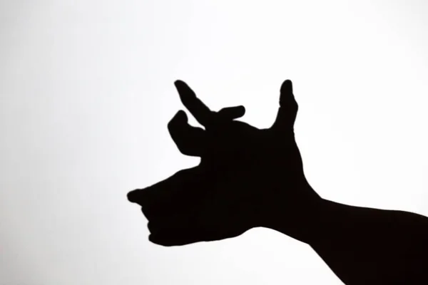 Play Shadow Projected White Screen Person Hands Shape Reindeer Rudolph — Stock Photo, Image