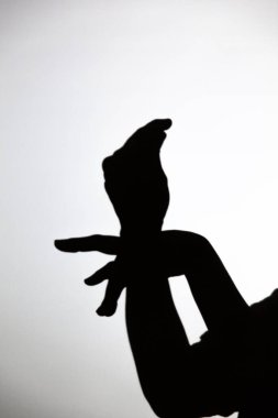 Beyaz ekrana yansıtılan gölgeyi oynat. Bir insanın elleri güvercine benzer.