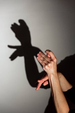 Beyaz ekrana yansıtılan gölgeyi oynat. Bir insanın elleri güvercine benzer.