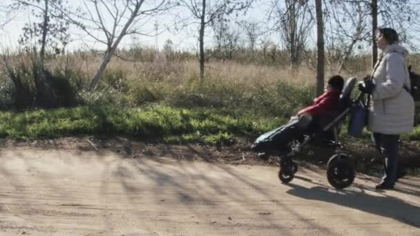 Mulher cadeira de rodas passar criança com deficiência em uma estrada de terra. — Vídeo de Stock