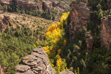 Sonbaharda ormanı olan kayalık dağların manzarası güneşli bir günde bulutlarla kaplı.