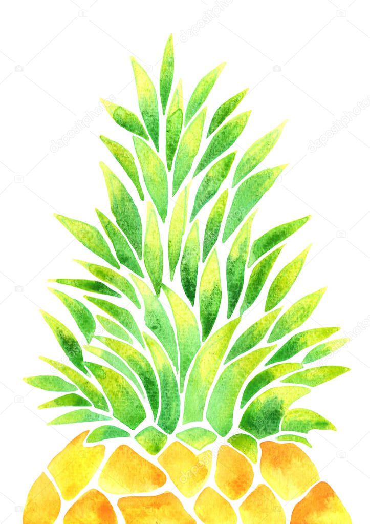 Pineapple water color for decoration on summer and fruit theme.