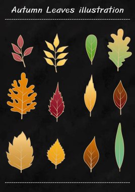 Sonbahar Yaprakları sonbahar mevsiminde dekorasyon için vektör çizimi, doğal ve Şükran Günü bayramı konsepti.