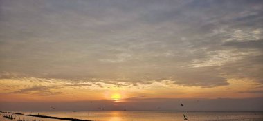 Deniz üzerinde altın bir gün doğumu martılar uçuşuyor, umut ve sınırsız olasılıkları temsil ediyor..