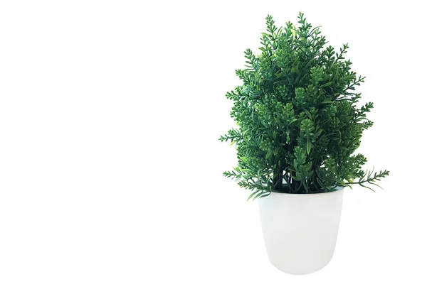 Mini Albero Verde Cespuglio Pianta Vaso Foglie Verdi Pianta Finta — Foto Stock