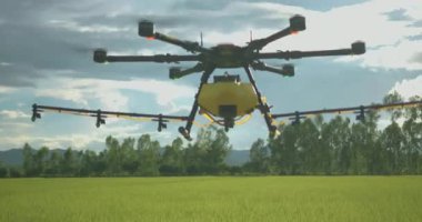 Yeşil çeltik tarlasında uçan tarım aracı su, böcek ilacı, gübre, kimyasallar ve diğer sıvı, akıllı tarım teknolojilerini püskürtmeye başlıyor..