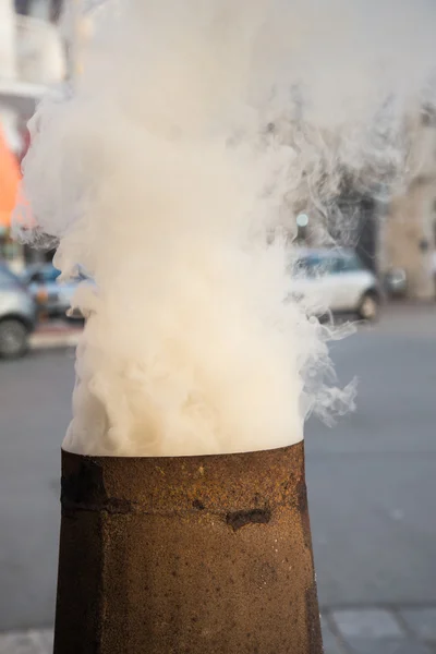 Kasztany w jesieni Obrazy Stockowe bez tantiem