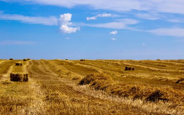 Straw roll bale with crop field, photovoltaic panel and blue sky in background. Enregy, food. Concept.
