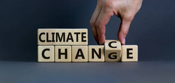 Climate change symbol. Hand flips a cube and changes words \'climate change\' to \'climate chance\'. Beautiful grey background, copy space. Business and climate change concept.