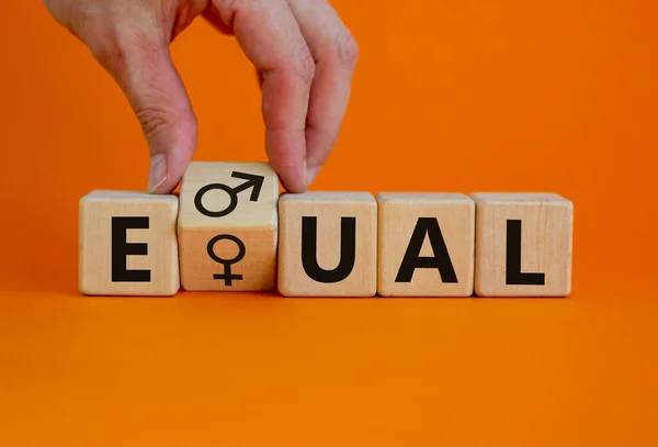 Gender eduality symbol. Male hand turns wooden cube with male and female symbol. Equal word. Business and gender equality concept. Beautiful orange background, copy space.