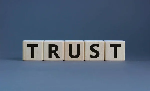 信任的象征 在漂亮的灰色背景上的木制立方体上的概念词 Trust 商业和信任概念 复制空间 — 图库照片