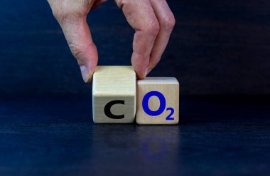 Karbondioksit veya oksijen sembolü. İş adamı ahşap küpü çevirir ve 'CO2, karbondioksit', 'O2, oksijen' kelimelerini değiştirir. Güzel gri arkaplan, kopyalama alanı. İş, ekolojik ve karbon nötr kavram.