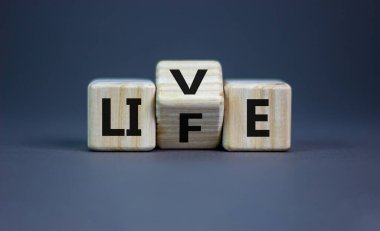 Yaşam sembolünü yaşa. Küplere dönüştü ve 'yaşam' kelimesini 'hayat' olarak değiştirdi. Güzel gri arkaplan, kopyalama alanı. İş, hayat konseptini yaşa..