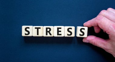 Stresi bırak ve sağlık sembolü ol. Doktor 'stres' kelimesiyle küpleri tutuyor. Güzel gri arkaplan. Psikolojik, iş ve stres kavramını bırak. Boşluğu kopyala.