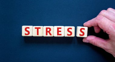 Stresi bırak ve sağlık sembolü ol. Doktor 'stres' kelimesiyle küpleri tutuyor. Güzel gri arkaplan. Psikolojik, iş ve stres kavramını bırak. Boşluğu kopyala.