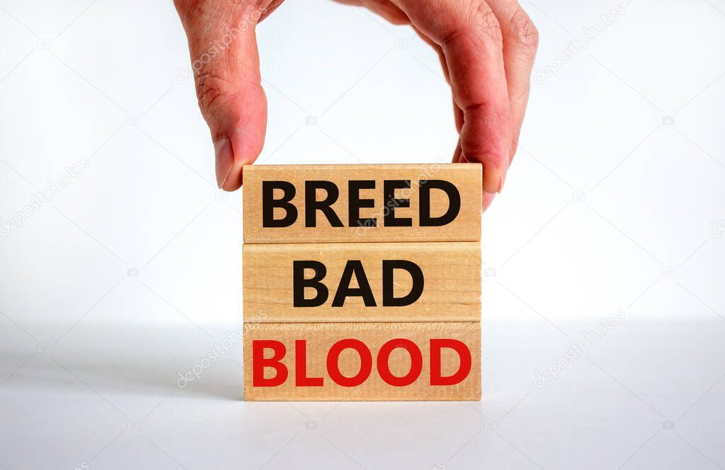 Breed bad blood symbol. Businessman holds wooden block with words 'Breed bad blood'. Beautiful white background, copy space. Business, breed bad blood concept.