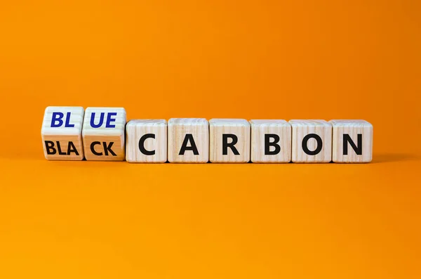 Black Blue Carbon Turned Cubes Changed Words Black Carbon Blue — Stock Photo, Image