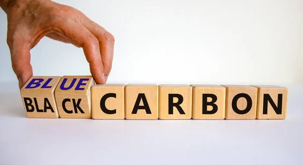 Black Blue Carbon Businessman Turns Cubes Changes Words Black Carbon — Stock Photo, Image