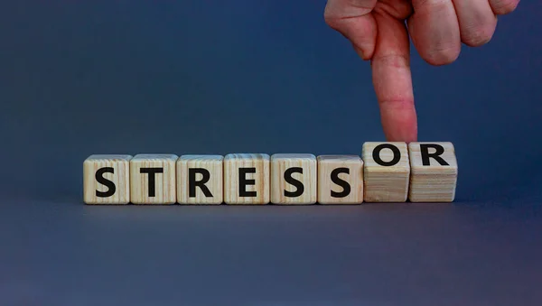 Stress Und Stresssymbol Geschäftsmann Dreht Würfel Ändert Die Wörter Stress — Stockfoto