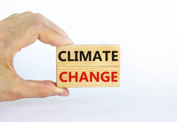 Climate Change Symbol Wooden Blocks Words Climate Change Beautiful White — Stock Photo, Image