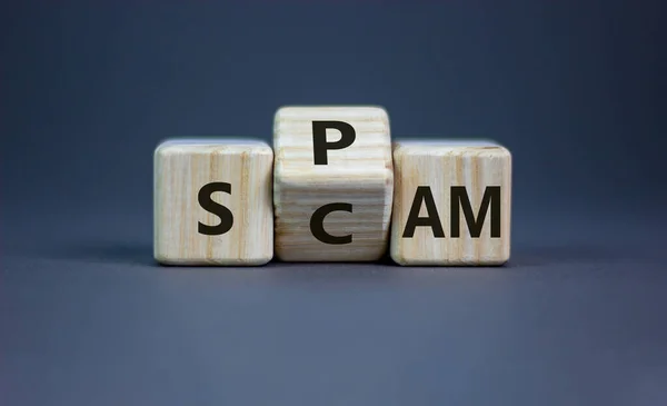 Spam Scam Symbol Turned Wooden Cube Changed Word Scam Spam — Foto de Stock
