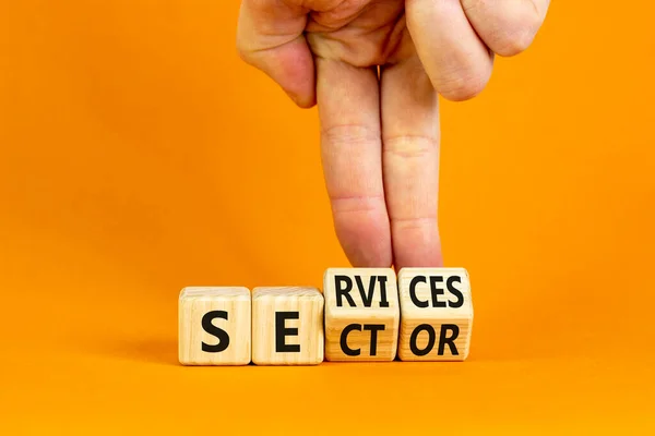 Services Sector Symbol Businessman Turns Cubes Words Services Sector Beautiful — Stock Photo, Image
