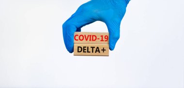 Covid-19 yeni delta artı varyant sembolü. Mavi eldivende tahta bloklar var. Covid-19 delta artı. Güzel beyaz arka plan. Uzayı kopyala Tıbbi ve COVID-19 yeni delta artı değişken konsept.