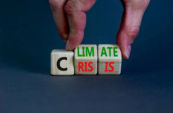 Climate crisis and change symbol. Businessman turns wooden cubes with words \'Climate crisis\'. Beautiful grey background. Climate change and ecological crisis concept. Copy space.