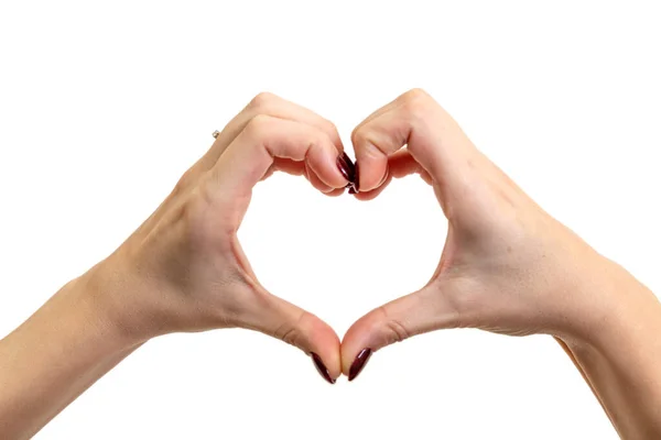 Hands Forming Heart White Background Valentine Concept Royalty Free Stock Photos
