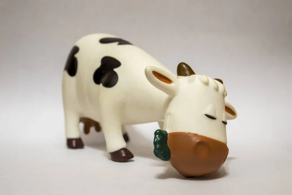 Корова Їсть Траву Ізольовано Білому Тлі Концепція Дня Молока — стокове фото