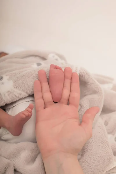 妈妈抱着小脚新生儿 新生儿的脚在父母的手里 祝你全家幸福妈妈和爸爸抱着孩子的腿 — 图库照片