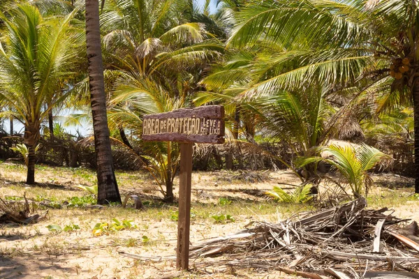 Landschap Vol Met Kokospalmen Met Een Bordje Beschermingszone Vuilnis Meenemen — Stockfoto