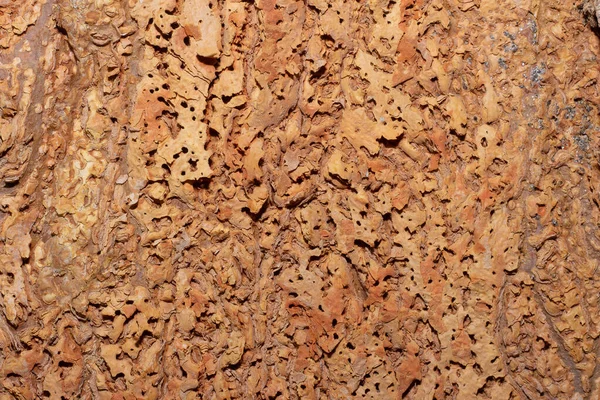Textura Madeira Natural Com Uma Cor Marrom — Fotografia de Stock