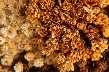 Makro detaylarda küçük kahverengi çiçekler