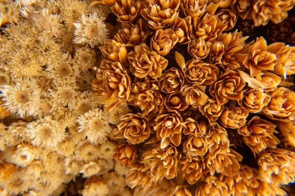 Makro detaylarda küçük kahverengi çiçekler