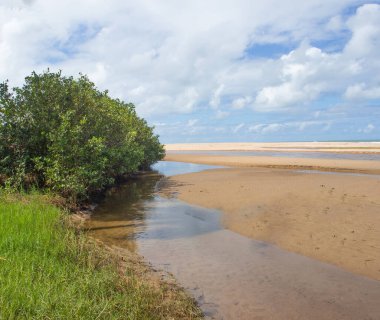 Kum tepecikli güzel manzara, bulutlu bir günde bir nehir ve ağaç.