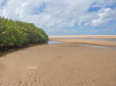 Kum tepecikli güzel manzara, bulutlu bir günde bir nehir ve ağaç.