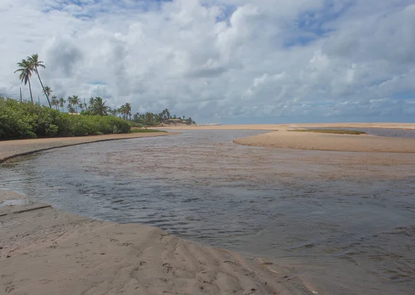 Pemandangan Indah Penuh Pohon Kelapa Dan Sungai Hari Berawan — Stok Foto