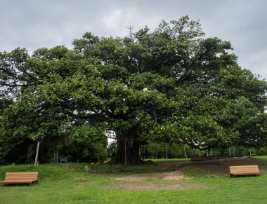 SALVADOR, BRASİL -01 / 06 / 2021: Salvador 'daki 