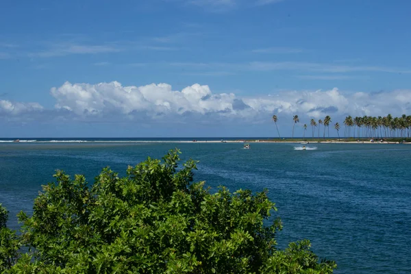 Paysage Étonnant Morceau Plage Plein Cocotiers Arbre Isolé Avec Des — Photo