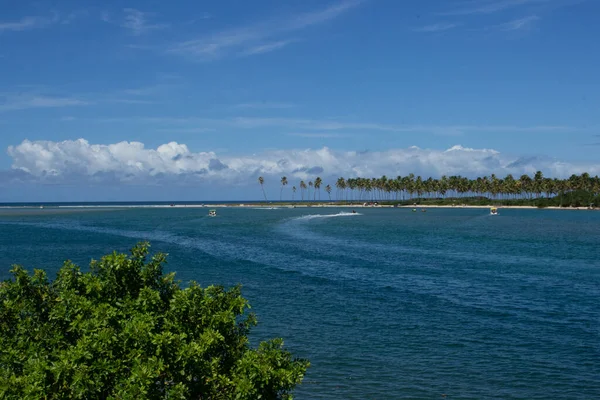 코코넛 외딴곳에 나무로 해변의 놀라운 — 스톡 사진
