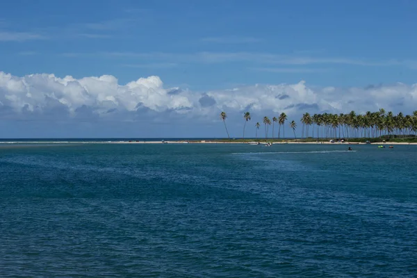 在阳光灿烂的日子里 海滩上满是椰子树 景色迷人极了 — 图库照片