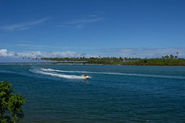 Niesamowity Krajobraz Kawałka Plaży Pełnej Drzew Kokosowych Jetski Żeglarstwo Słoneczny — Zdjęcie stockowe