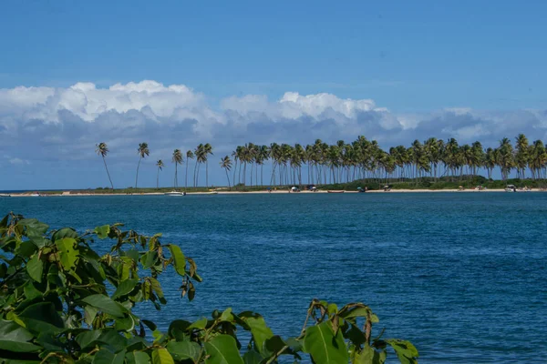 Fantastiskt Landskap Bit Stranden Full Kokosnötsträd Och Personer Vid Sanden — Stockfoto