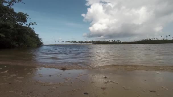 Widok Namorzyn Plażę Pochmurny Dzień Falą Wypełniającą — Wideo stockowe
