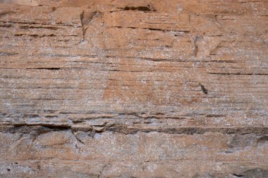 Incredible natural texture of brown rock and little plants