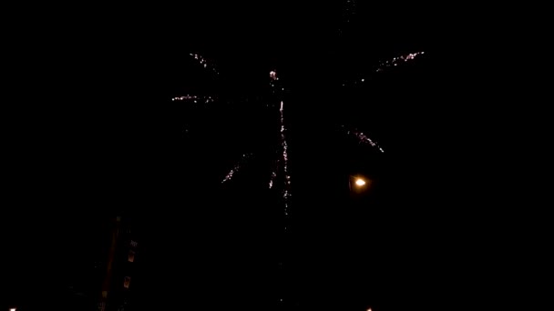 Kolorowe Fajerwerki Podczas Obchodów Nowego Roku Berlinie Szczęśliwa Radosna Eksplozja — Wideo stockowe