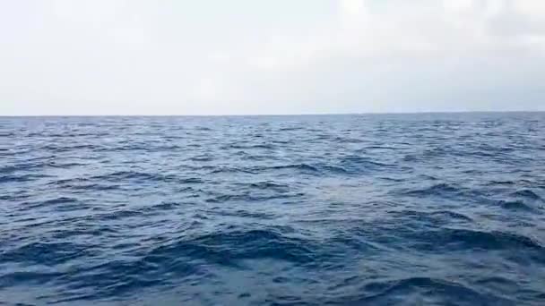 Mar Azul Duro Grandes Ondas Mar Aberto Durante Uma Tempestade — Vídeo de Stock